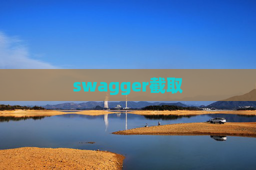 swagger截取